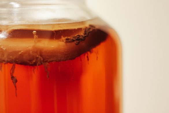 kombucha-w-słoiku