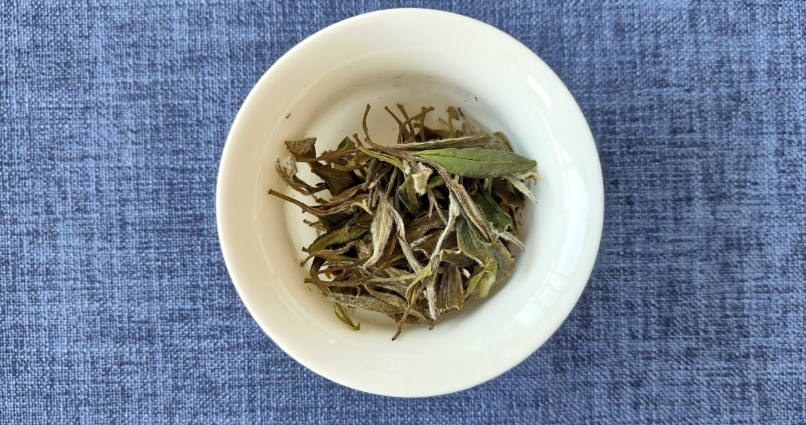 susz-białej-herbaty-w-białym-gaiwan-widok-z-góry
