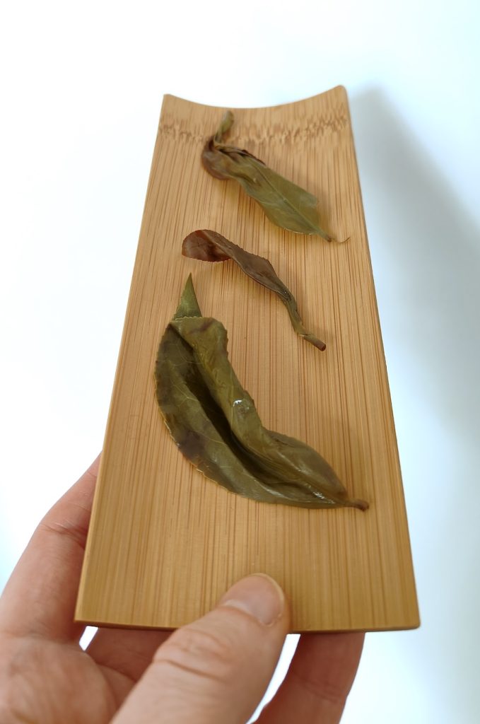 mokre-liście-herbaty-chińskiej-oolong-na-bambusowej-podstawce